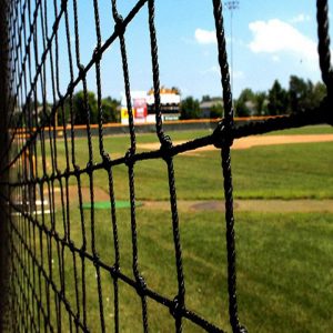 Cricket Nets