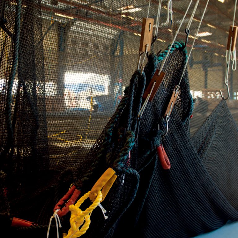 Fish Farming Aquacultural Nets Weihai Huaxing Nets Co Ltd