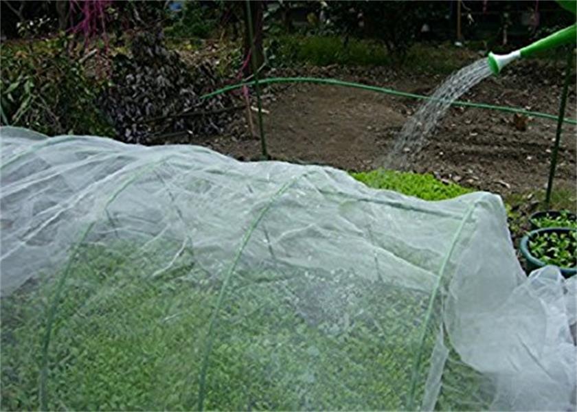 Insect Netting