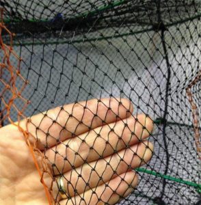 Scallop Oyster Cage Net