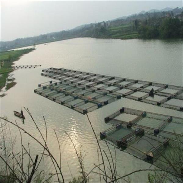 Sea Cucumber Aquaculture Cage Net