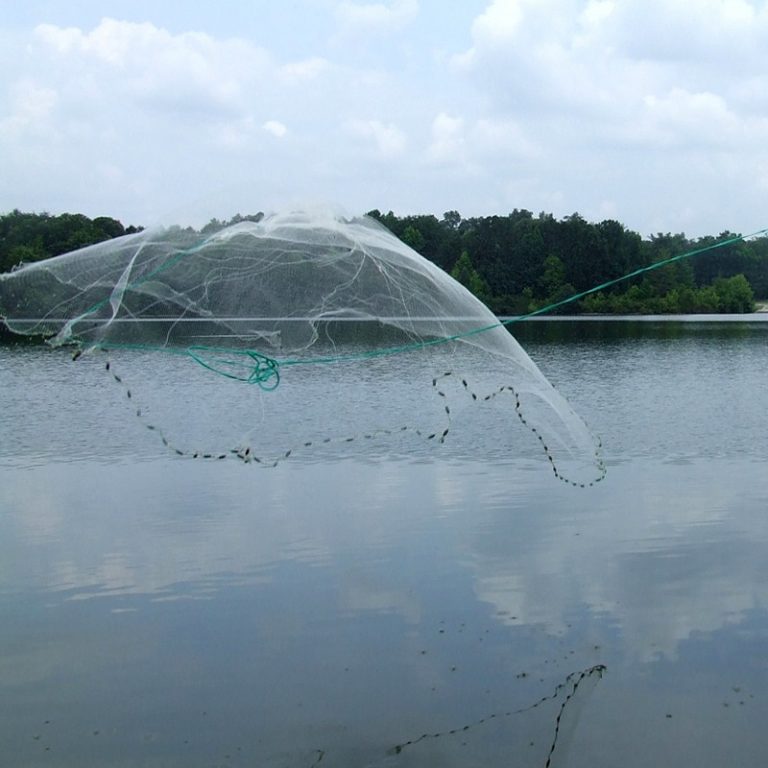 Cast Nets Throw Nets Weihai Huaxing Nets Co Ltd