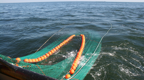 Choice of trawl netting materials - Weihai Huaxing Nets Co Ltd