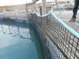 Fish Farming Net Cage