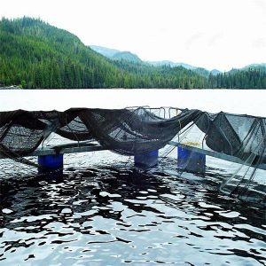 Fish Net Pens