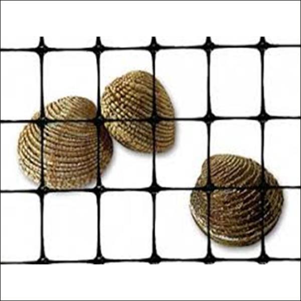 Clam Netting