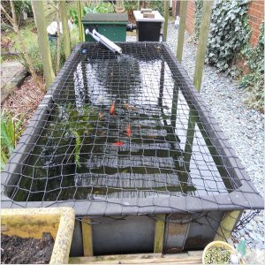 Pond Netting