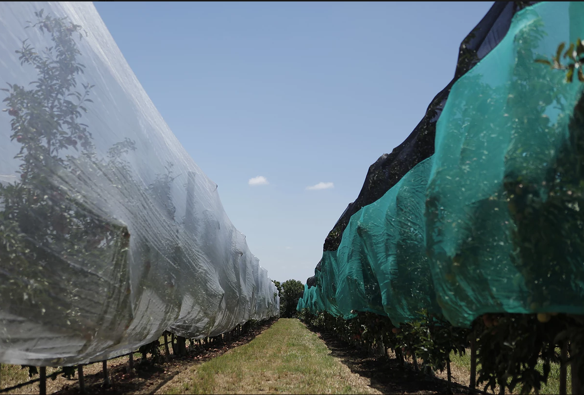 Anti-Insects Netting
