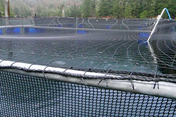 Fish Net Pens