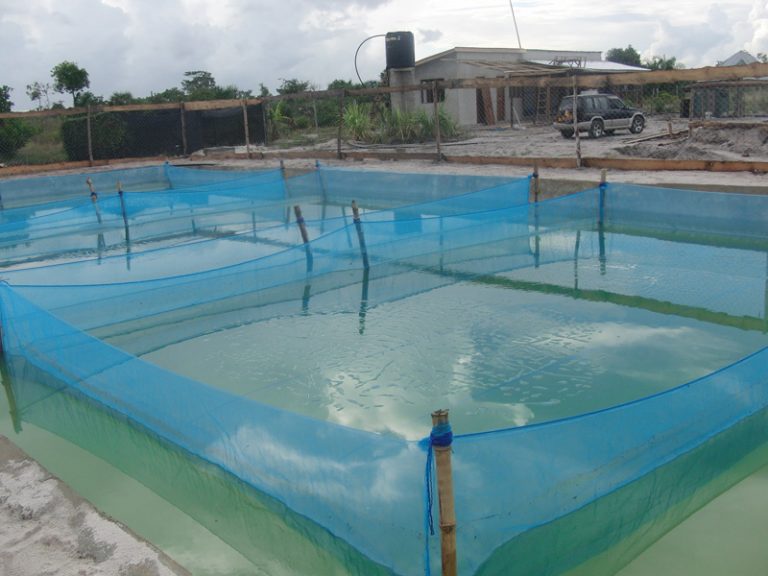 hapa-net-weihai-huaxing-nets-co-ltd