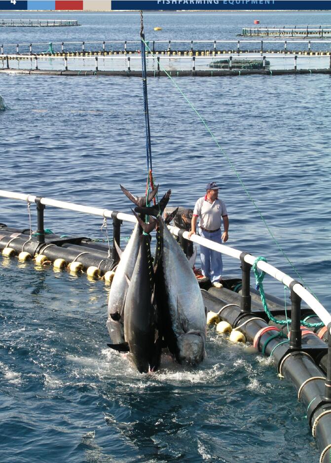 Tuna farming Weihai Huaxing Nets Co Ltd