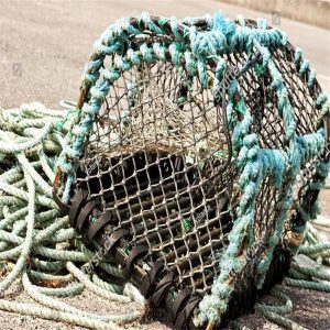 D-Shaped Crab Trap