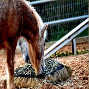 Standard Hay Pillow Slow Feeder Hay Bag