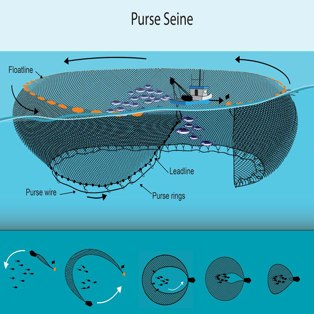 How to Use a Seine Net