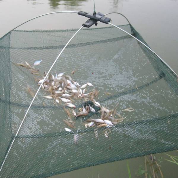 2 Sizes Foldable Mesh Baits Trap