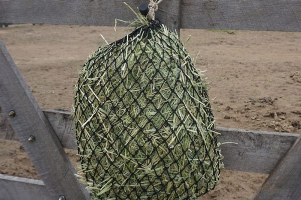 Round slow hay bale horse Hay Net