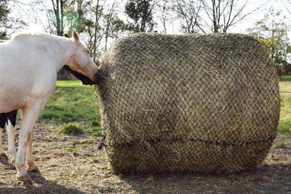 Good quality slow mini horse hay net