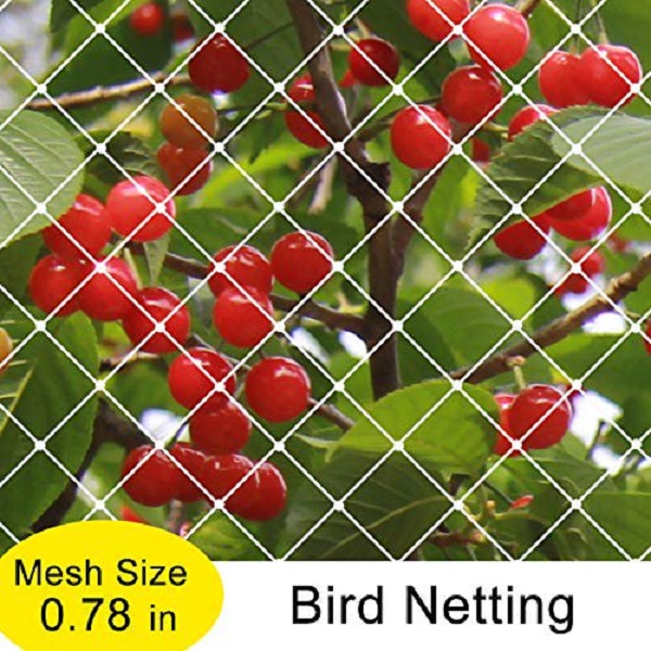 Anti Bird Protection Net