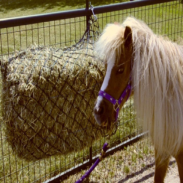 Slow Feed Large Hanging Hay Net