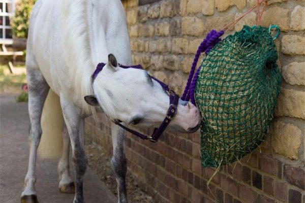 Trickle Mini Hay net