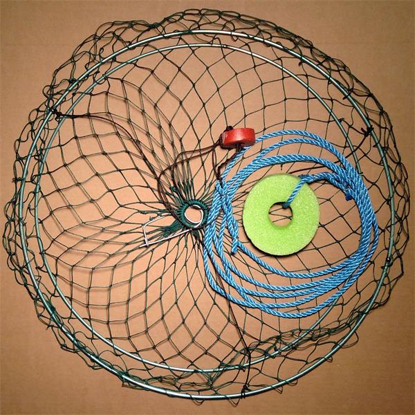 coping Reskyd Male high quality Collapsible 2 Ring Crab Net - Weihai Huaxing Nets