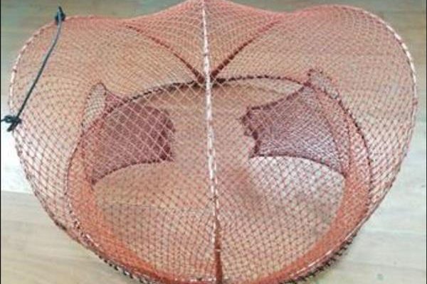 Collapsible Crab trap