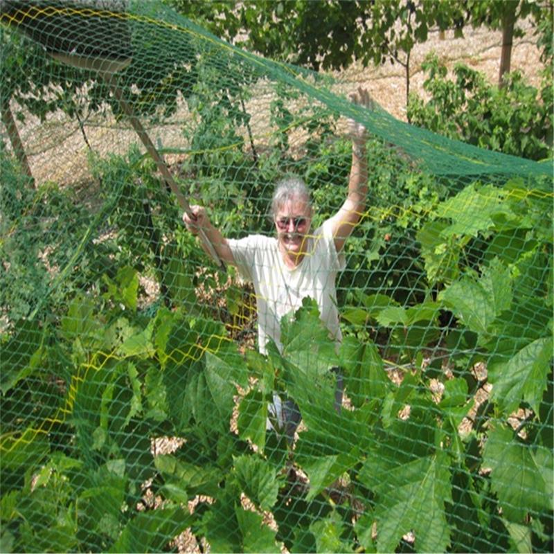 Anti-bird netting for garden protection