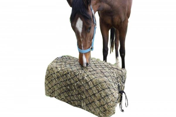 Slow Feed Hay Net For Horse