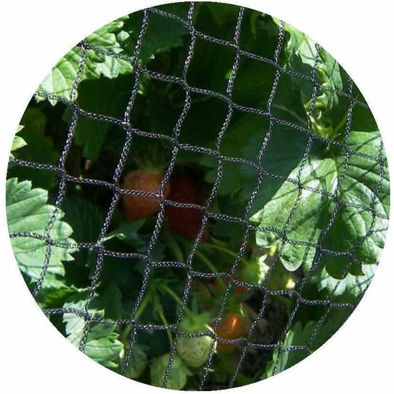 Anti Bird Fruit Crop Protection Netting