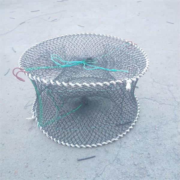 high quality Foldable Crab Shrimp Trap Net - Weihai Huaxing Nets