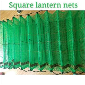 Square lantern nets for scallop farming