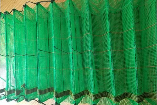 Square lantern nets for scallop farming