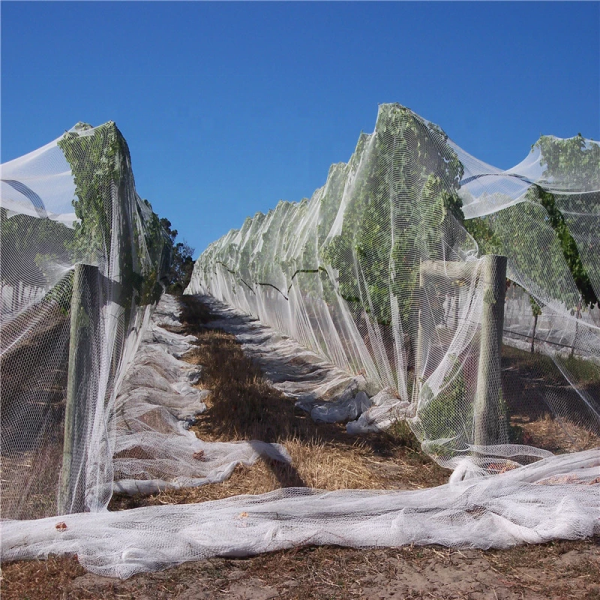 Agriculture Anti Hail Nets