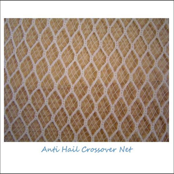 Anti Hail Crossover Net