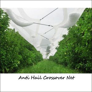 Anti Hail Crossover Net