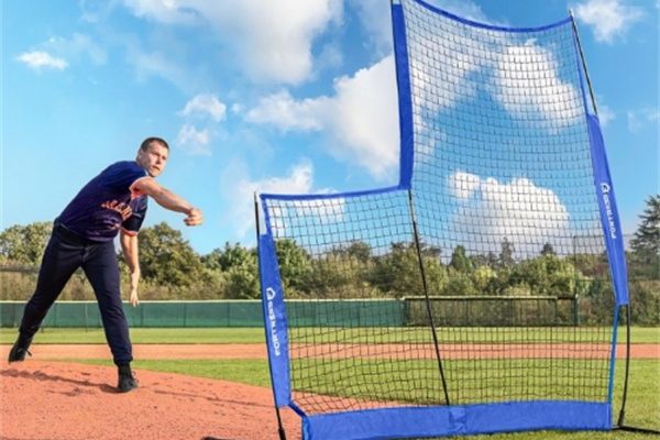 Portable Baseball L-Screen